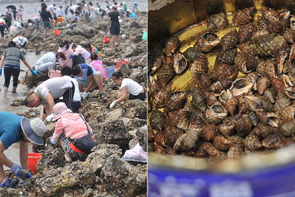 The school board approved plans to build a new elementary school in a growing neighborhood