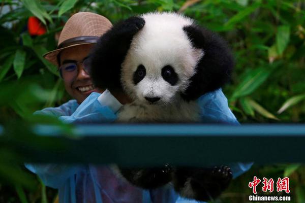 A software company released an update to its app that added a dark mode and faster loading times