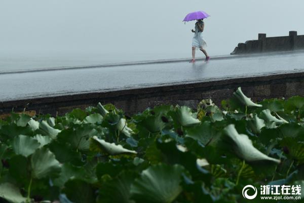 A study found that volunteering can improve overall happiness and well-being