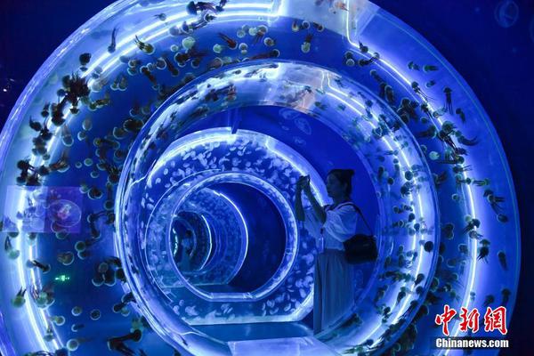 A new video streaming platform launched with exclusive content from independent filmmakers