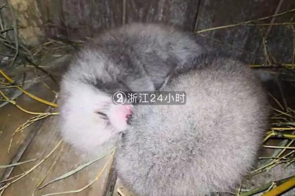 A study showed that reading fiction can improve empathy and understanding of others’ perspectives