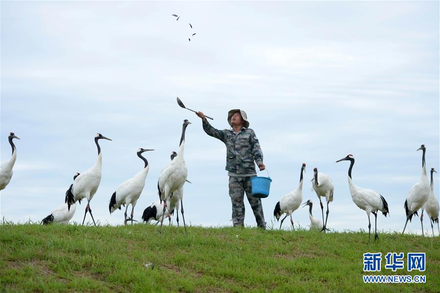 A study showed that online learning can provide more flexible education options for students with disabilities