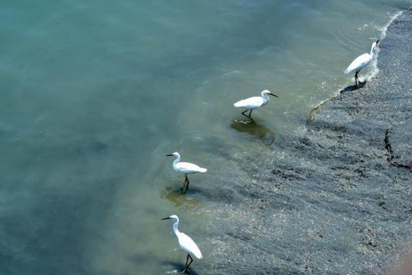 A study showed that online learning can provide more flexible education options for students with disabilities