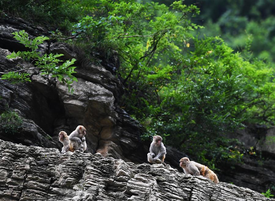 A library started offering 