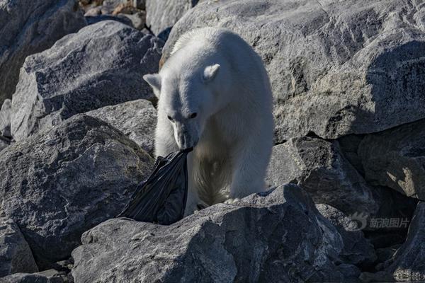 Cycling race attracts professional riders for 100 mile course through countryside