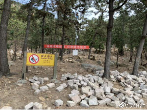 A study revealed that drinking chamomile tea before bed can help people sleep longer and better