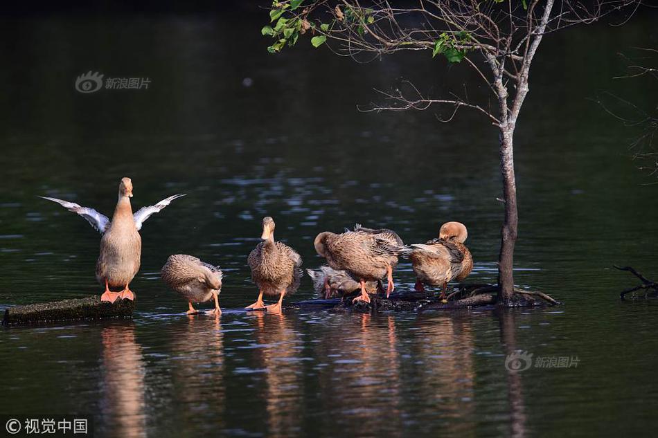 A hospital announced it will build a new pediatric wing with 40 beds and specialized equipment