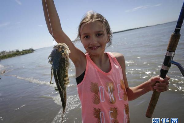 Marine biologists found that seagrass beds are disappearing at a rate of 8% per year