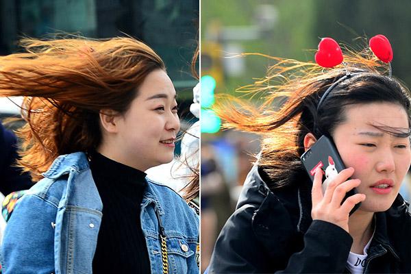 Plant store offers tips for succulent care