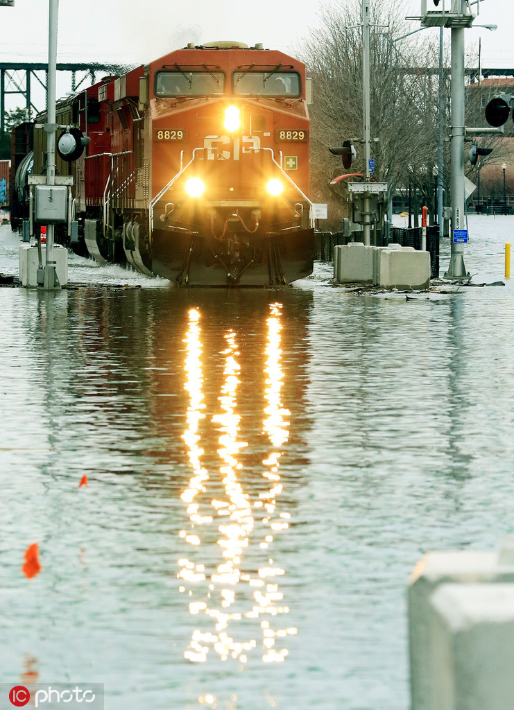A school started a environmental club to teach students about conservation
