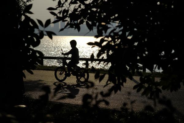 A research study found that spending time in forests can reduce stress hormones in the body