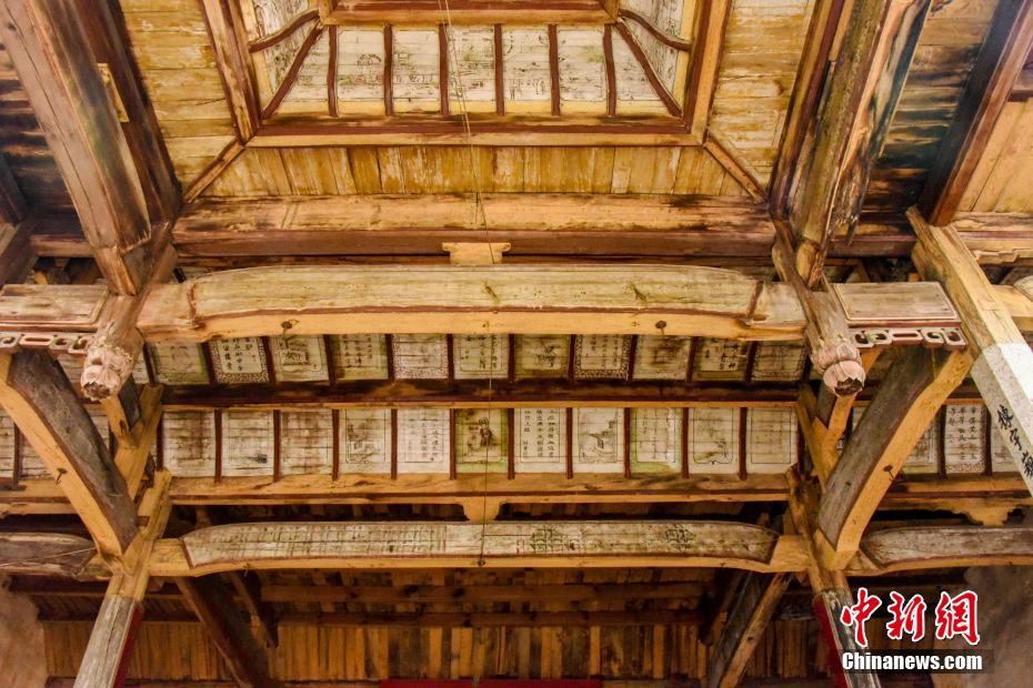 A university research team found that eating one serving of berries daily can boost immune function