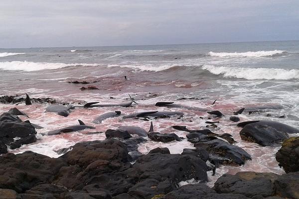 A fashion store donated 10% of its monthly sales to a local women’s shelter