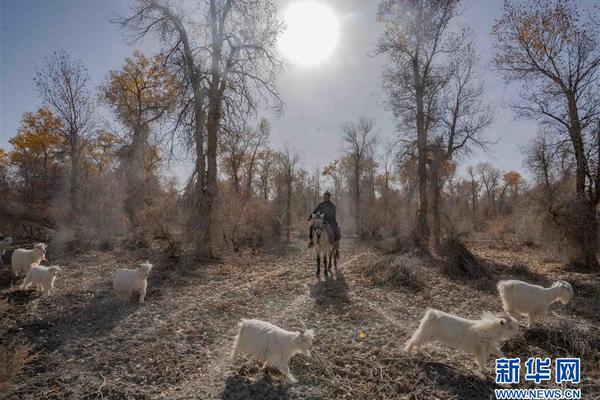 A new movie received four nominations at a major film awards show