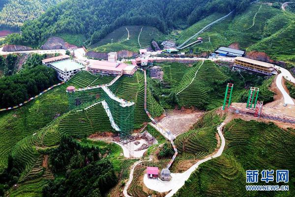 A grocery store started selling plant-based meat alternatives in its frozen food section