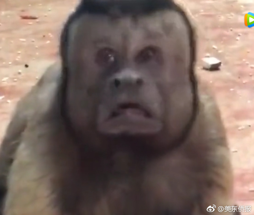 A charity raised over $2 million to build schools in rural areas of developing countries