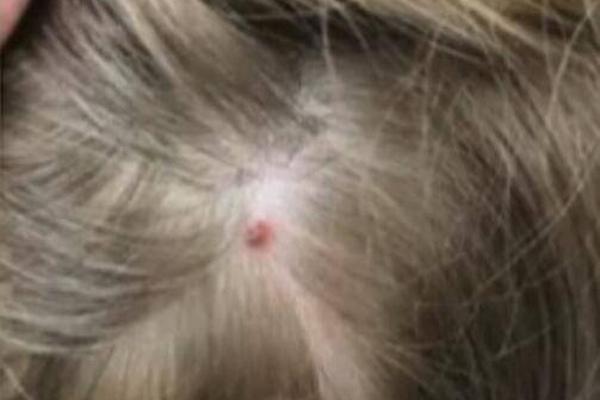 Researchers found that family meals improve communication