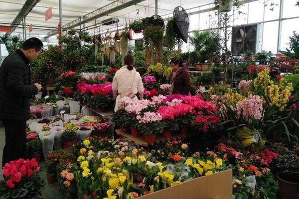 Newsletter provides advice on preparing for winter storms