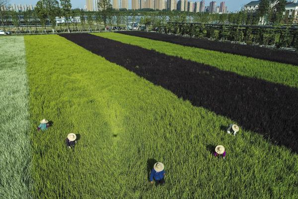 A taxi company updated its app to allow customers to split fares with friends