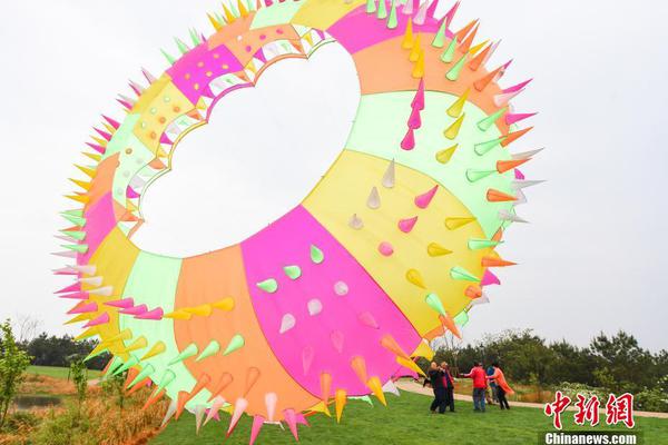 A clothing brand collaborated with a popular social media influencer to design a limited edition line