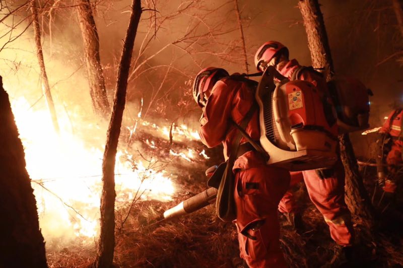 A charity started a literacy program where volunteers read to children in low income neighborhoods