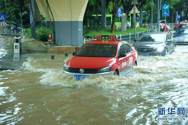 A small business owner expanded their pet store to include a grooming salon