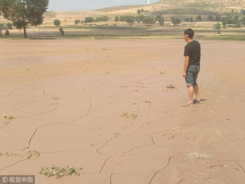 A scientist discovered a new species of frog in a nearby wetland preserve