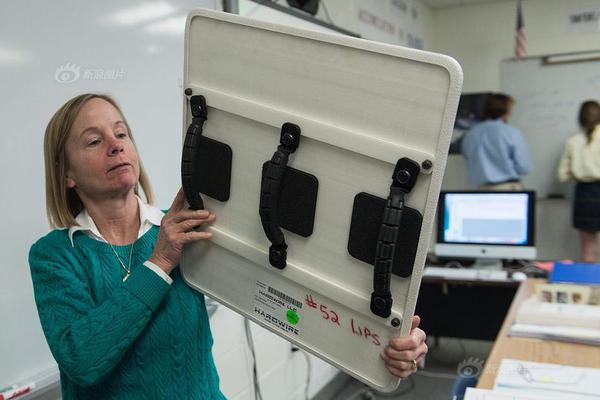 A farm started selling organic eggs from its own chickens