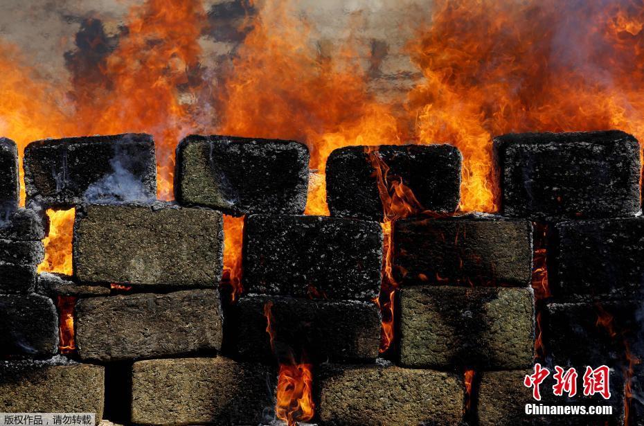 A new study showed that getting enough sunlight during the day helps regulate sleep patterns