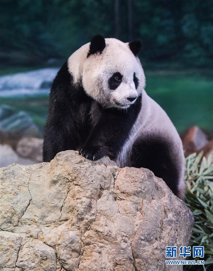 An airline announced it will upgrade its in-flight Wi-Fi to provide faster internet access