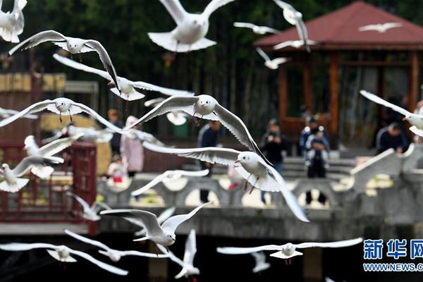 Research finds that gardening increases physical activity in adults