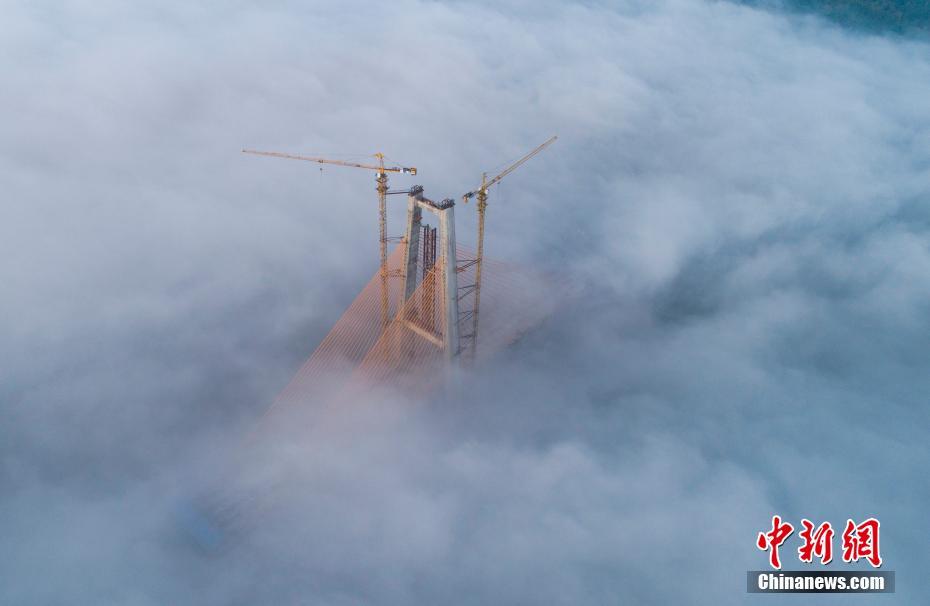 Research shows that practicing tai chi improves balance and reduces fall risk in seniors