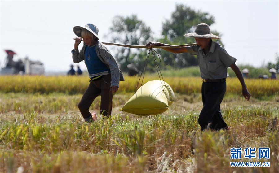 Chemists develop new sunscreen formula that is reef safe and water resistant for 8 hours