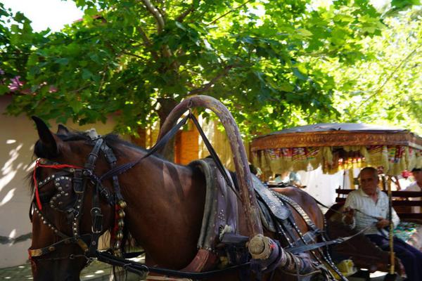 Skateboard competition awards $10000 prize to winner of best trick contest