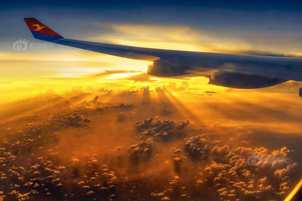 Scientists discovered a new species of marine life in the deep ocean using a remotely operated underwater vehicle