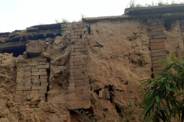 The government provided grants to eco-friendly businesses