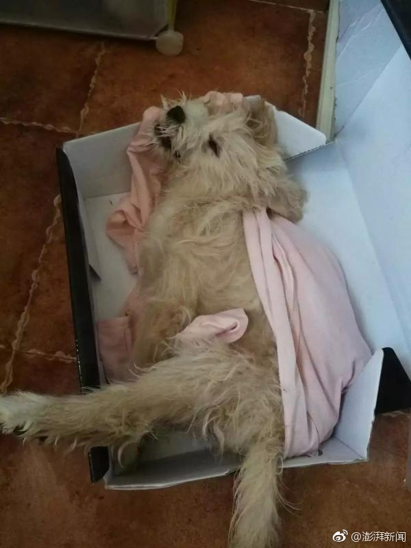 The city introduced a parking app that offers discounts for carpoolers