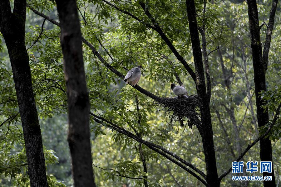 A study showed that online tutoring can improve test scores by 18% in high school students