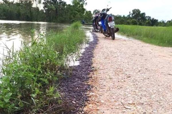 Scientists discovered a new source of renewable energy in the desert
