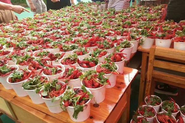 A city installed new public Wi-Fi hotspots in 15 downtown parks for residents and visitors