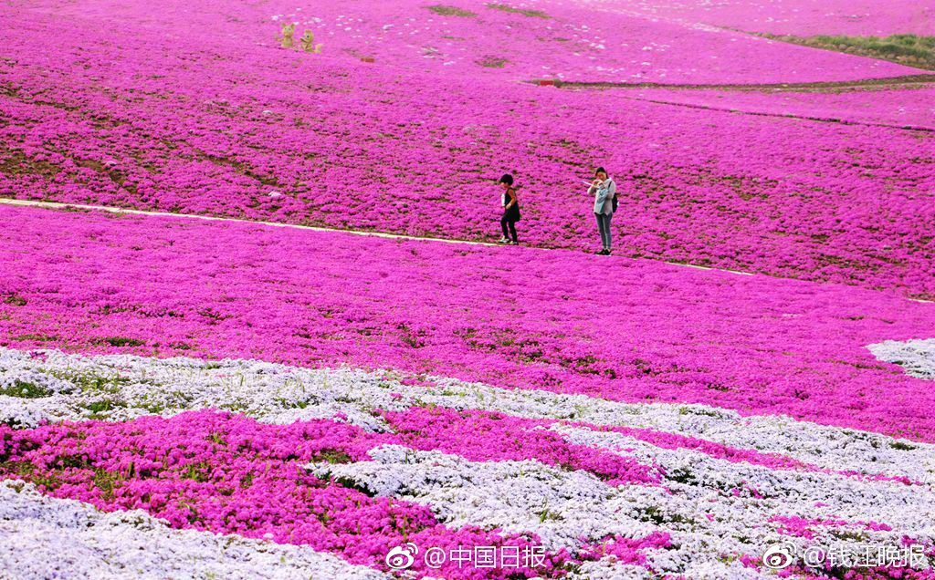 A famous fashion designer launched a new line of clothing made from recycled ocean plastic