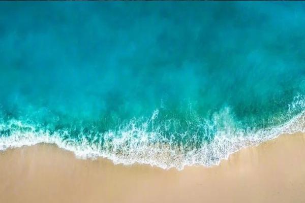 Local artists collaborated to create a large mural celebrating the city's cultural diversity