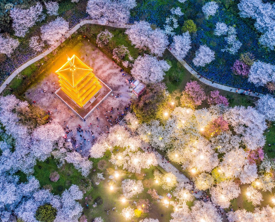 Bus company introduces new app for tracking routes and arrival times