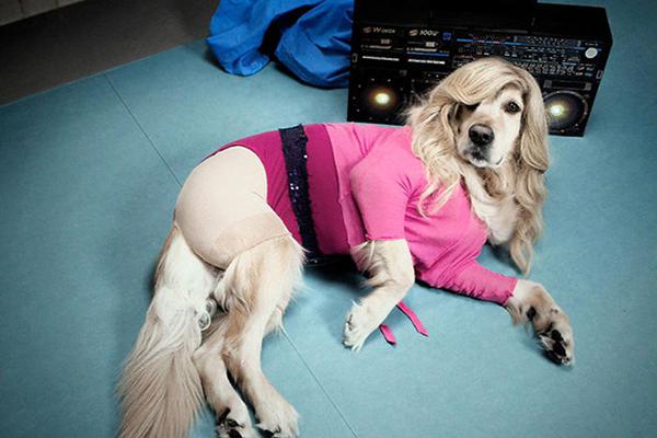 A city expanded its bike lane network to make cycling safer for commuters