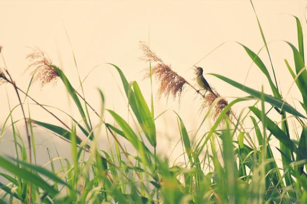 A popular actor starred in a new television series that premiered yesterday