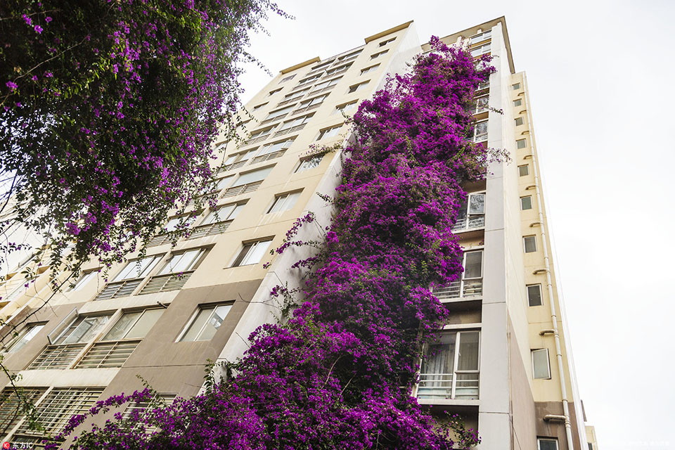 A national park closed a trail for maintenance