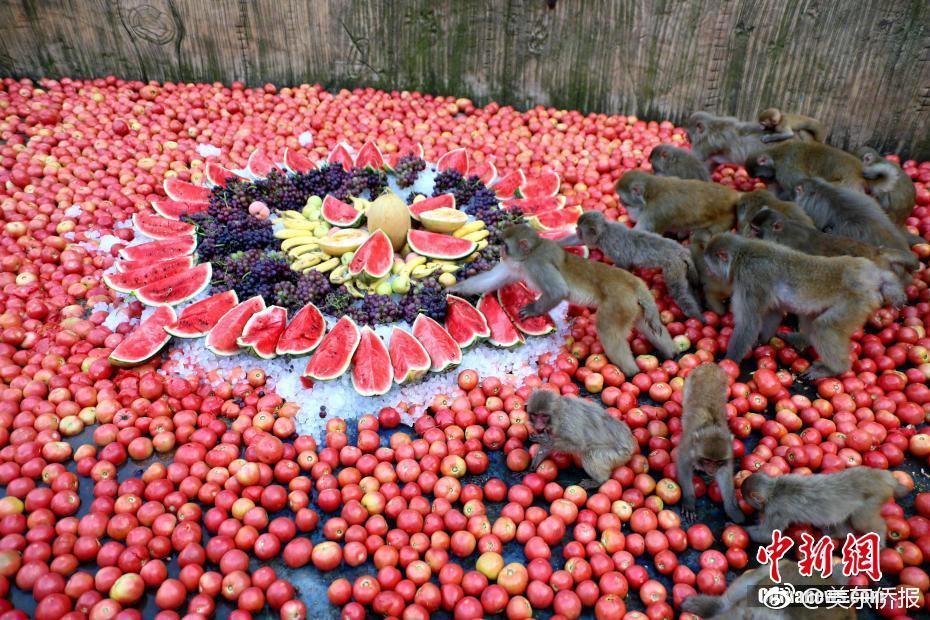 Study reveals that using reusable bags reduces plastic waste by 80 percent