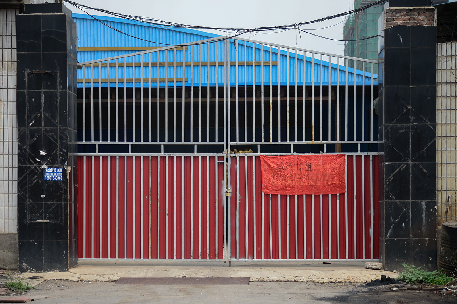 Toy store hosts character meet and greet event for kids during weekend