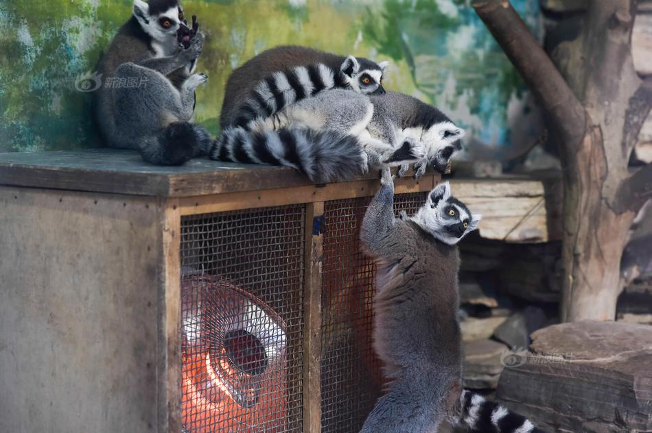 A severe thunderstorm hit the city causing damage to trees and power lines and delaying airport flights