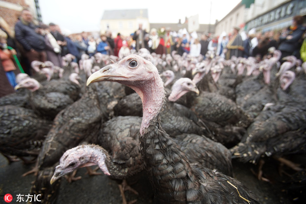 A new report showed that the number of endangered species has decreased by 14% over the past five years thanks to conservation